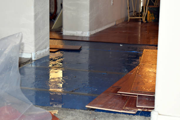 Professional Basement Flood Cleanup technician working in Newberry, MI