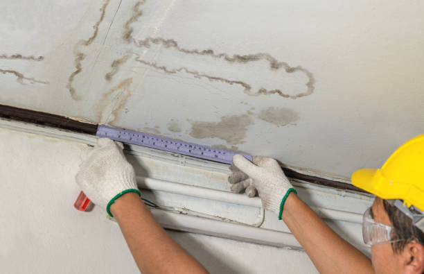 Reliable Basement Flood Cleanup contractor in Newberry, MI by Aqua Guard Water Damage